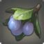 ffxiv doman plum seeds.